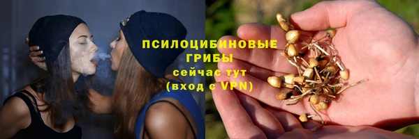 мет Осинники