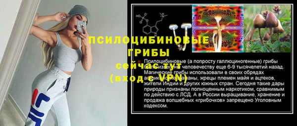 MDMA Няндома