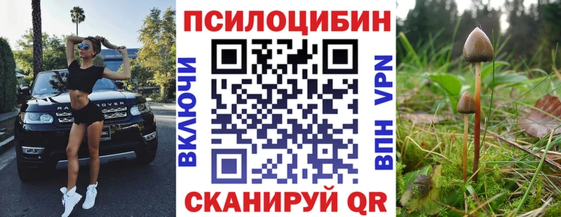 blacksprut ТОР  Шагонар  Галлюциногенные грибы Cubensis 